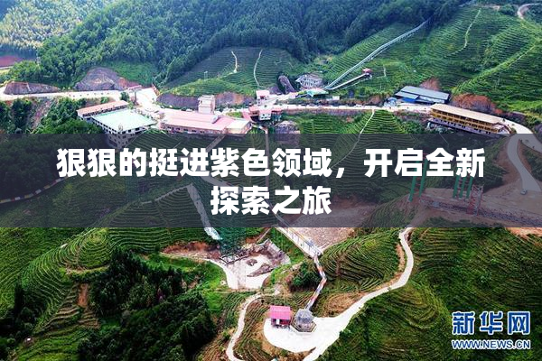 狠狠的挺进紫色领域，开启全新探索之旅