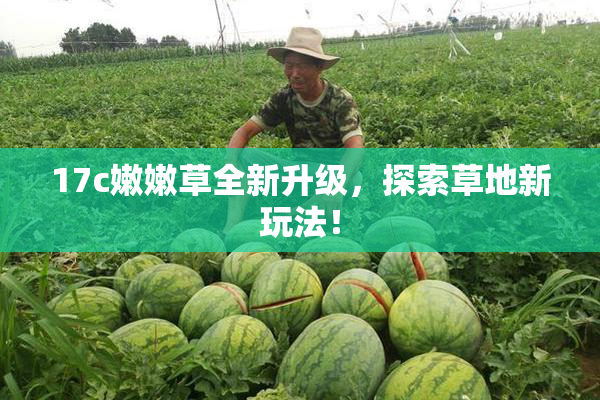 17c嫩嫩草全新升级，探索草地新玩法！