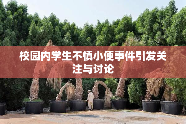 校园内学生不慎小便事件引发关注与讨论