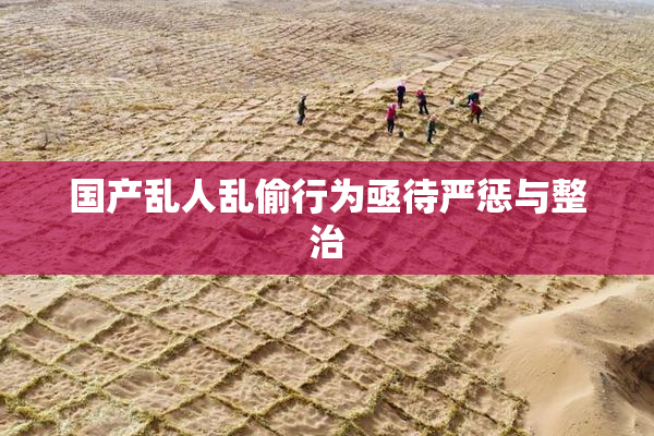 国产乱人乱偷行为亟待严惩与整治