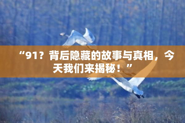 “91？背后隐藏的故事与真相，今天我们来揭秘！”