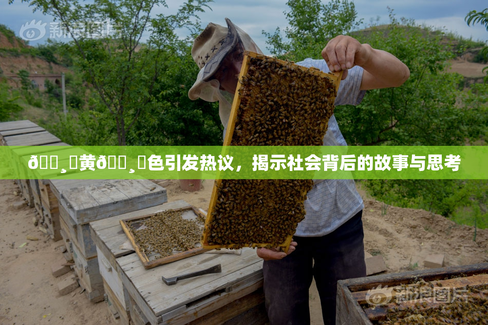 🌸‌黄🌸‌色引发热议，揭示社会背后的故事与思考