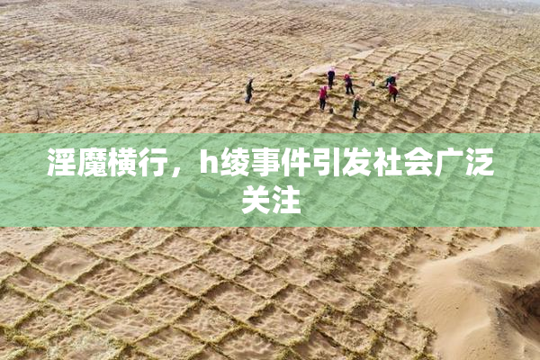 淫魔横行，h绫事件引发社会广泛关注