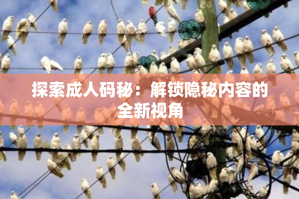 探索成人码秘：解锁隐秘内容的全新视角