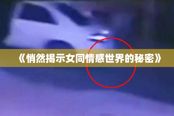 《悄然揭示女同情感世界的秘密》
