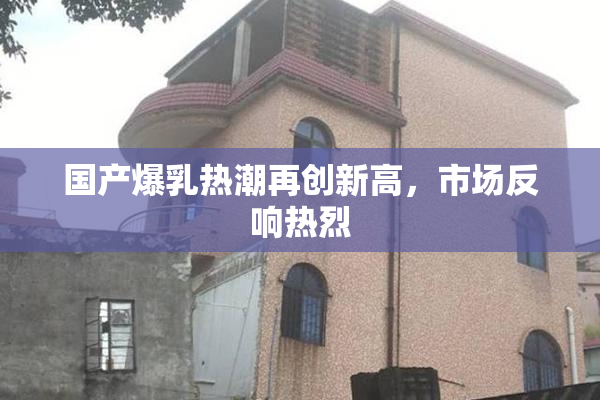 国产爆乳热潮再创新高，市场反响热烈