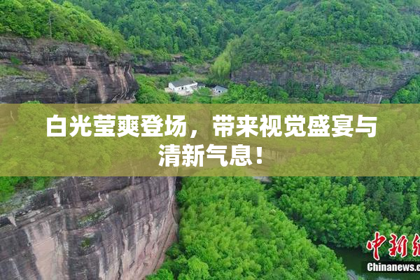 白光莹爽登场，带来视觉盛宴与清新气息！