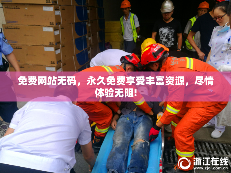 免费网站无码，永久免费享受丰富资源，尽情体验无阻!