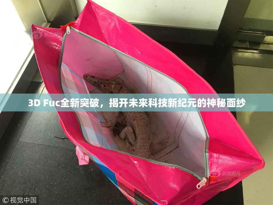 3D Fuc全新突破，揭开未来科技新纪元的神秘面纱
