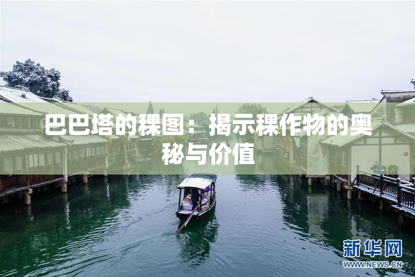 巴巴塔的稞图：揭示稞作物的奥秘与价值