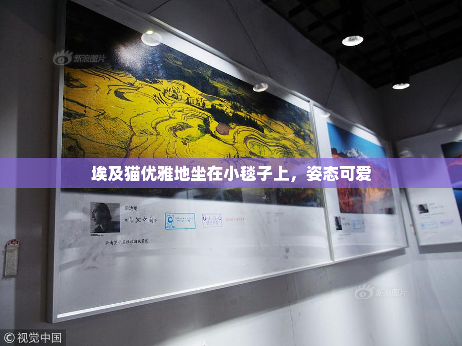 埃及猫优雅地坐在小毯子上，姿态可爱