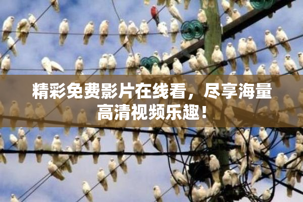 精彩免费影片在线看，尽享海量高清视频乐趣！