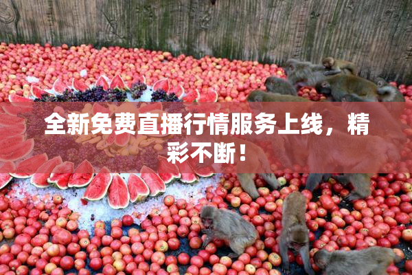 全新免费直播行情服务上线，精彩不断！