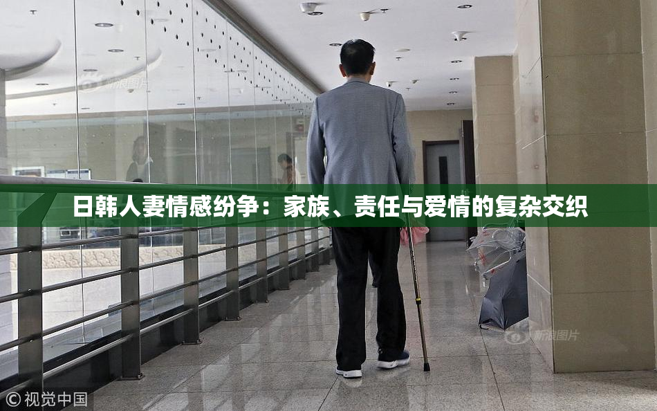日韩人妻情感纷争：家族、责任与爱情的复杂交织