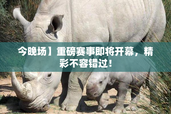 今晚场】重磅赛事即将开幕，精彩不容错过！