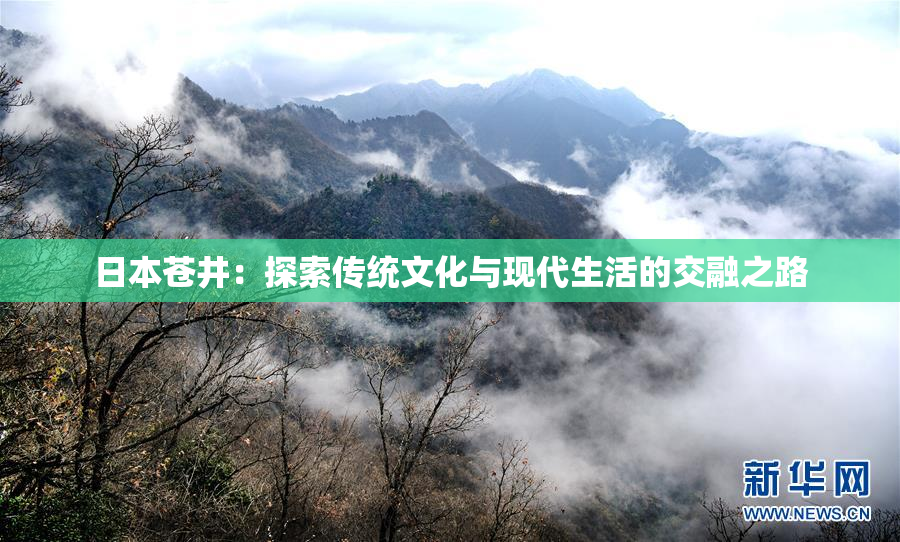 日本苍井：探索传统文化与现代生活的交融之路