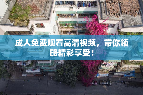 成人免费观看高清视频，带你领略精彩享受！