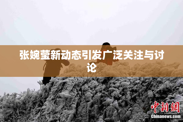 张婉莹新动态引发广泛关注与讨论