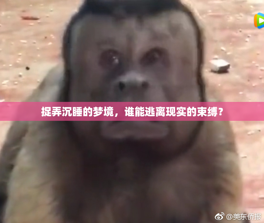 捉弄沉睡的梦境，谁能逃离现实的束缚？