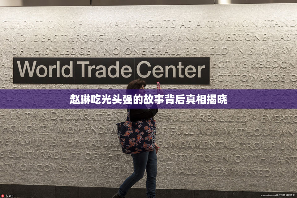 赵琳吃光头强的故事背后真相揭晓