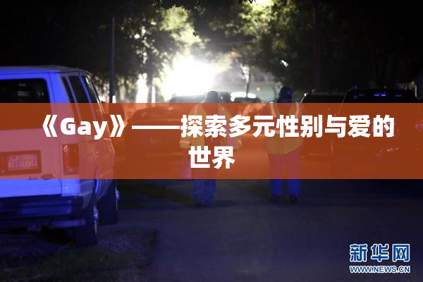 《Gay》——探索多元性别与爱的世界