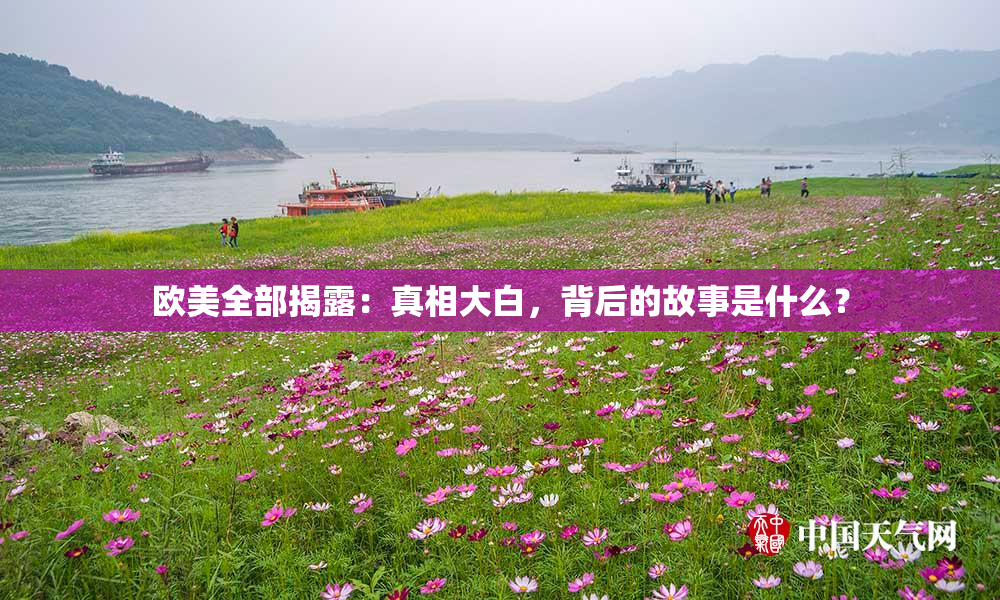 欧美全部揭露：真相大白，背后的故事是什么？