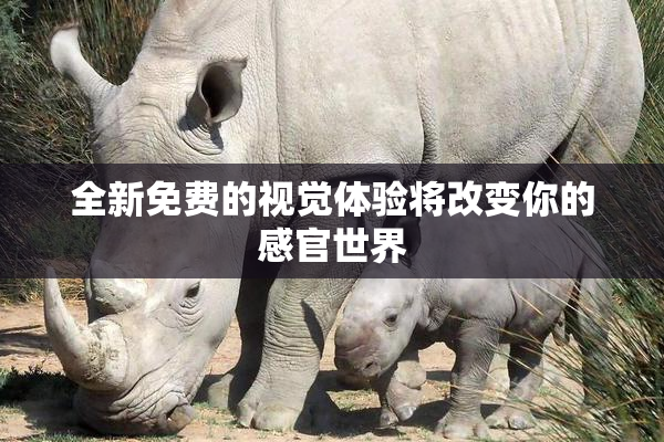 全新免费的视觉体验将改变你的感官世界