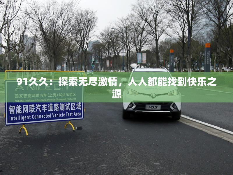91久久：探索无尽激情，人人都能找到快乐之源