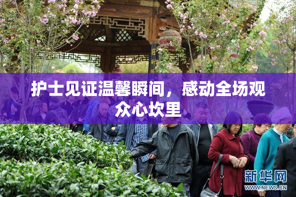 护士见证温馨瞬间，感动全场观众心坎里
