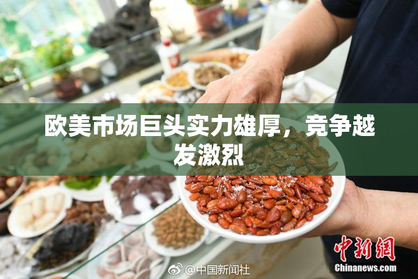 欧美市场巨头实力雄厚，竞争越发激烈