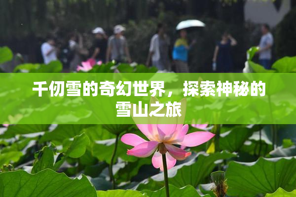 千仞雪的奇幻世界，探索神秘的雪山之旅