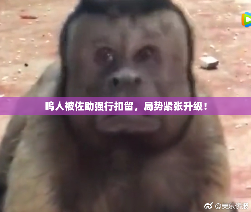 鸣人被佐助强行扣留，局势紧张升级！