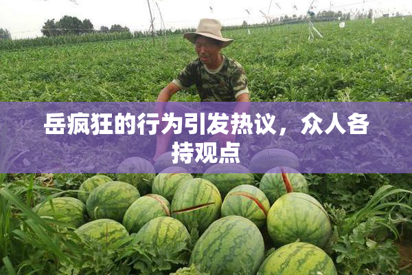 岳疯狂的行为引发热议，众人各持观点