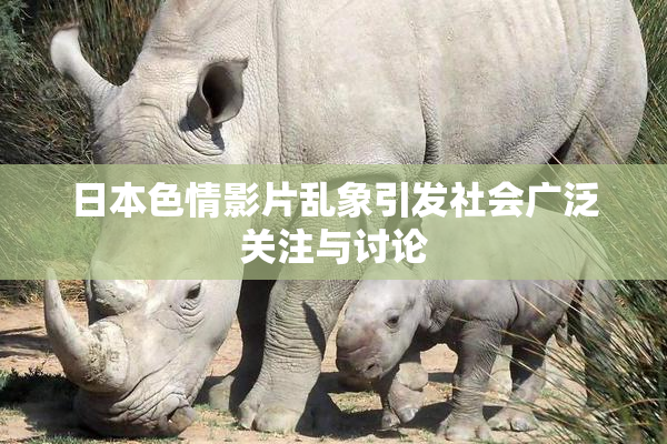 日本色情影片乱象引发社会广泛关注与讨论