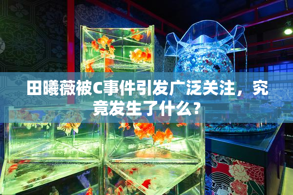 田曦薇被C事件引发广泛关注，究竟发生了什么？