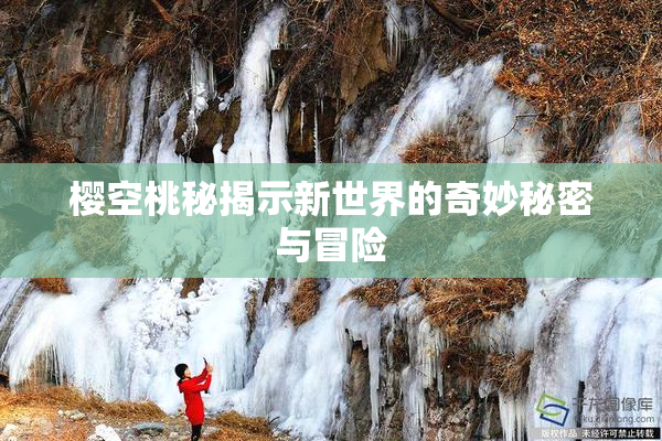 樱空桃秘揭示新世界的奇妙秘密与冒险
