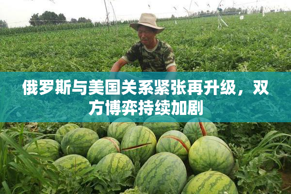俄罗斯与美国关系紧张再升级，双方博弈持续加剧