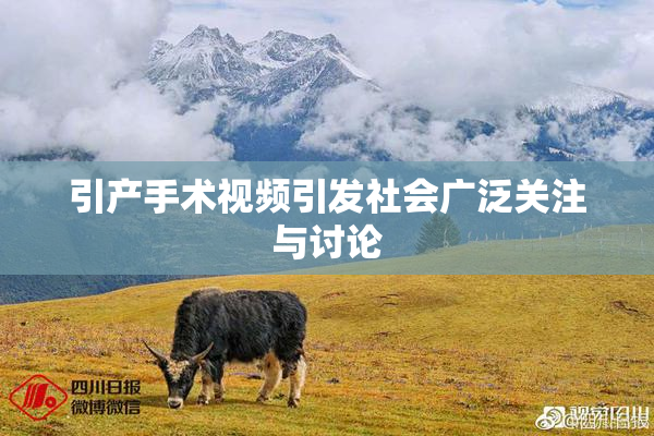 引产手术视频引发社会广泛关注与讨论