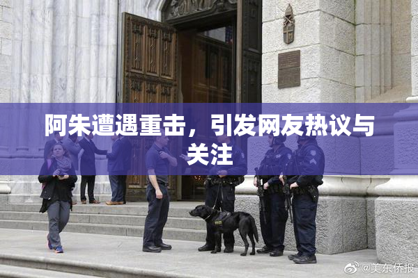 阿朱遭遇重击，引发网友热议与关注