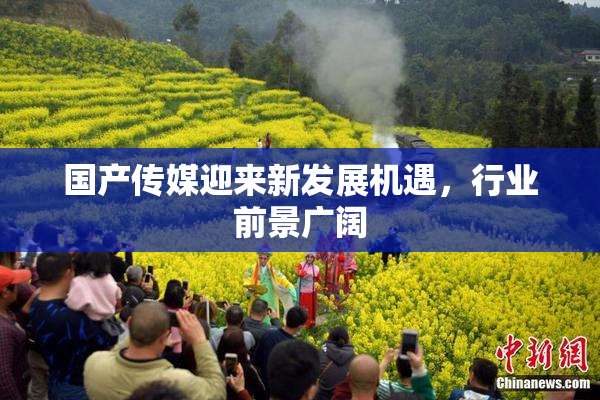 国产传媒迎来新发展机遇，行业前景广阔