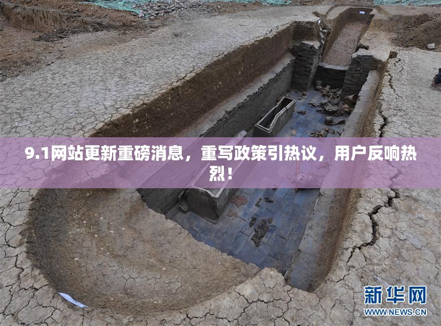9.1网站更新重磅消息，重写政策引热议，用户反响热烈！