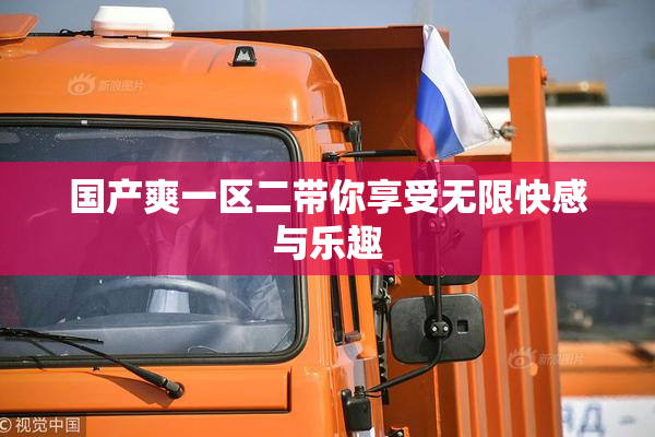 国产爽一区二带你享受无限快感与乐趣