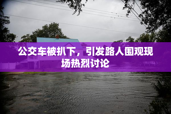 公交车被扒下，引发路人围观现场热烈讨论