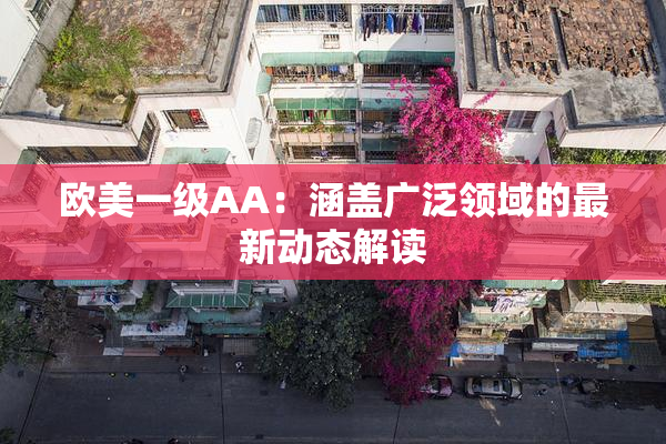 欧美一级AA：涵盖广泛领域的最新动态解读