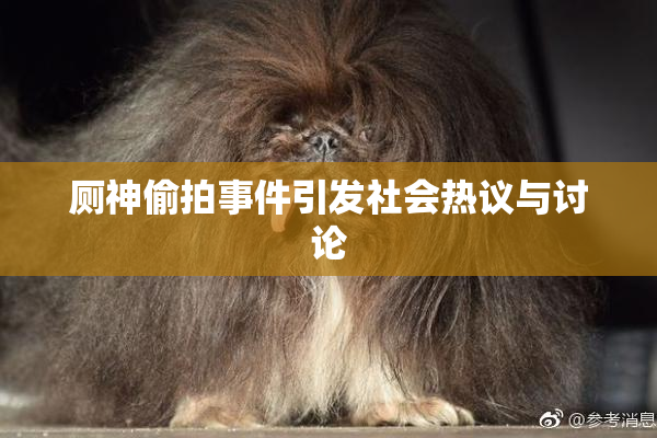厕神偷拍事件引发社会热议与讨论