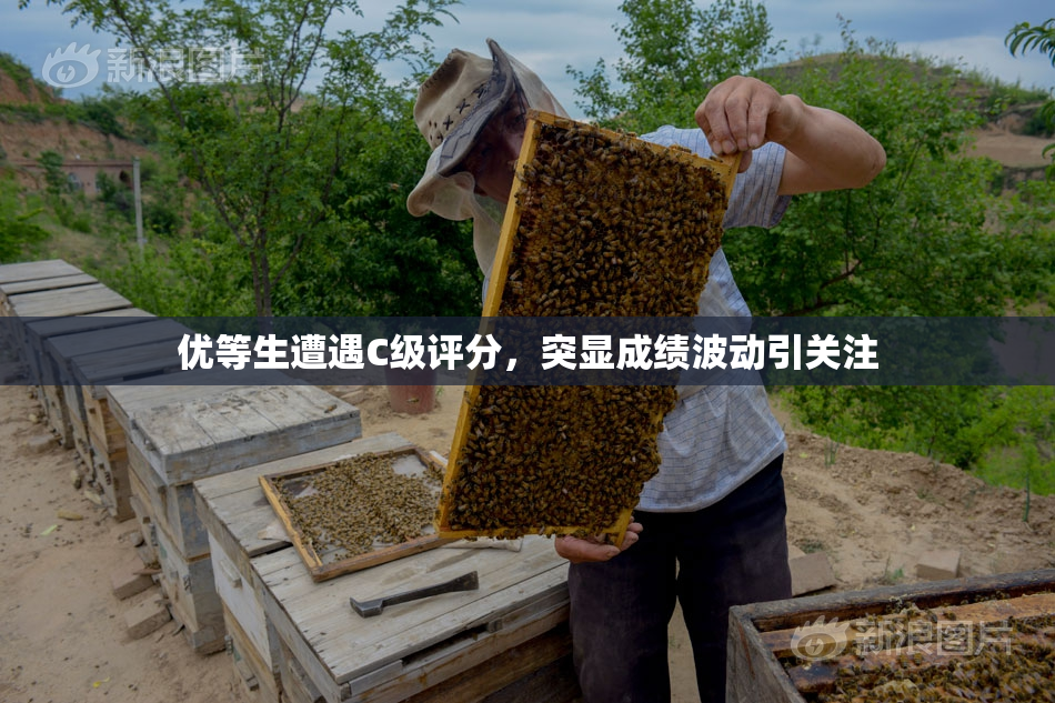 优等生遭遇C级评分，突显成绩波动引关注