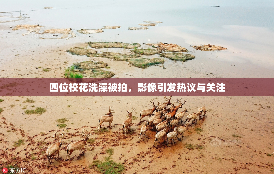 四位校花洗澡被拍，影像引发热议与关注