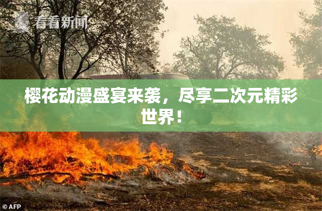 樱花动漫盛宴来袭，尽享二次元精彩世界！