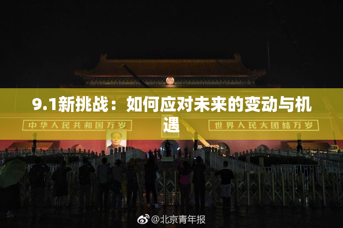 9.1新挑战：如何应对未来的变动与机遇