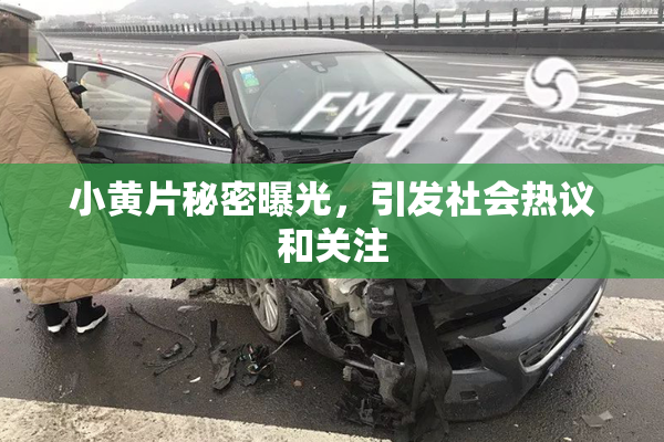 小黄片秘密曝光，引发社会热议和关注
